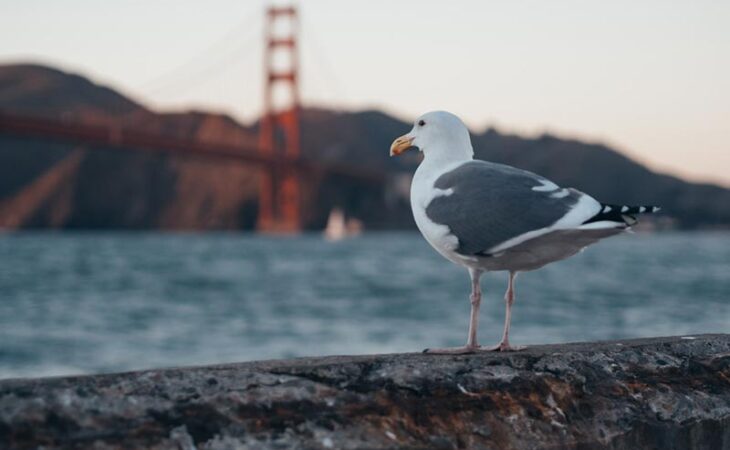 Together and Without